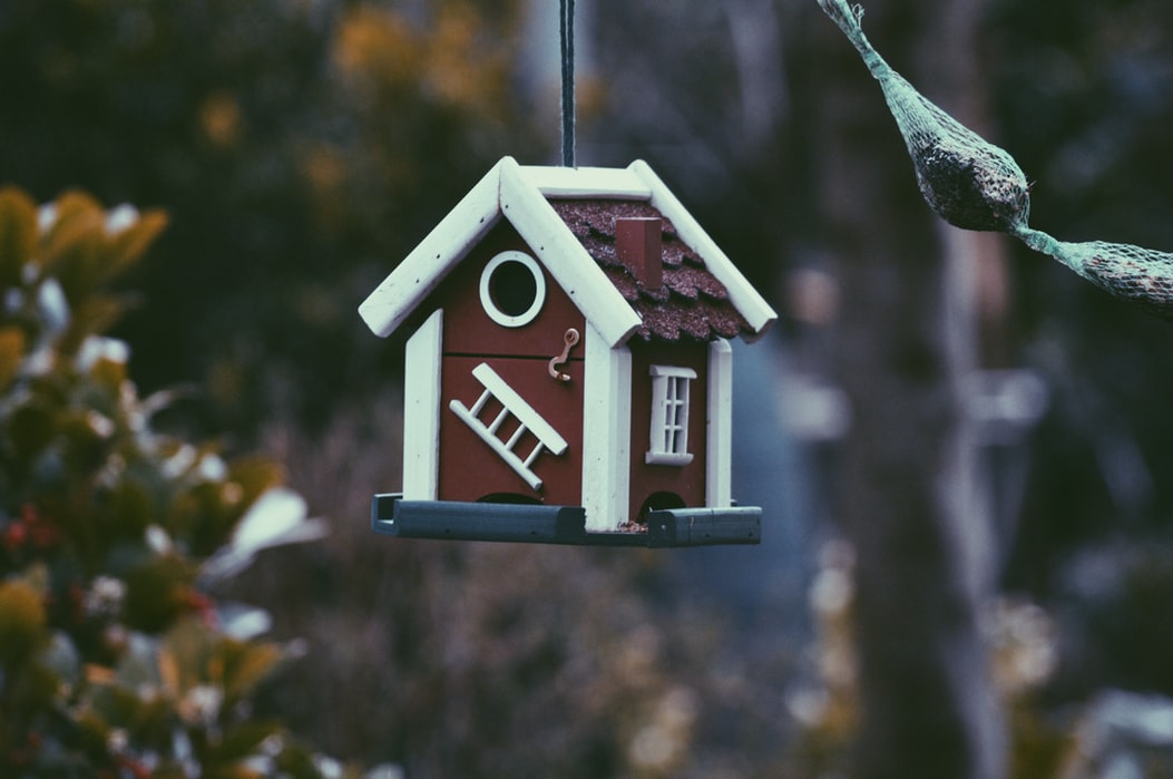 home-insurance